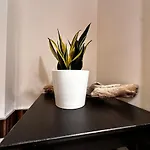 A Casa Mia In Centro Citta Апартаменти *
