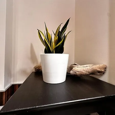 A Casa Mia In Centro Citta Апартаменти *