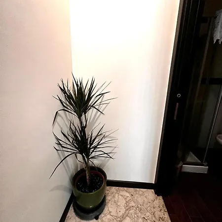 A Casa Mia In Centro