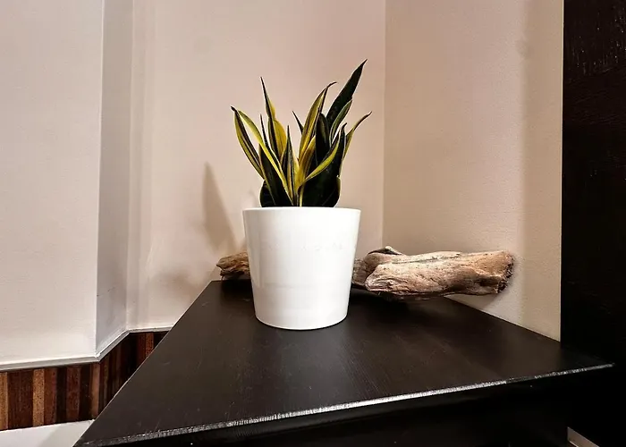 A Casa Mia In Centro Appartement *