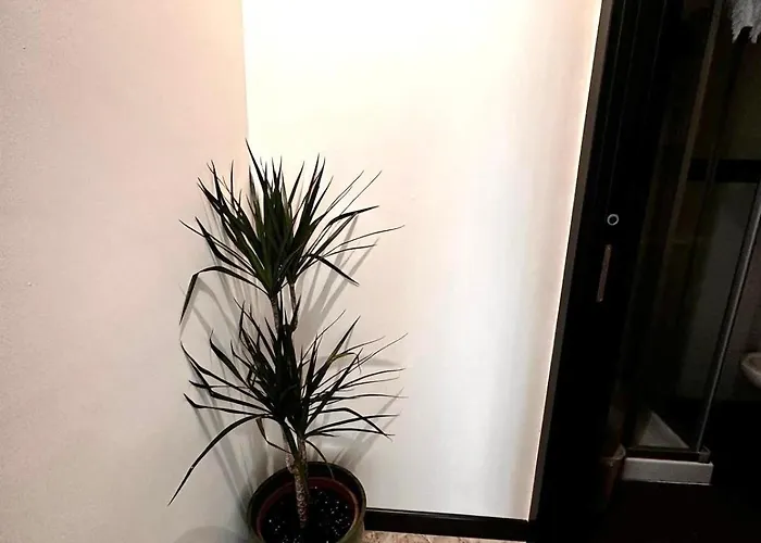 A Casa Mia In Centro